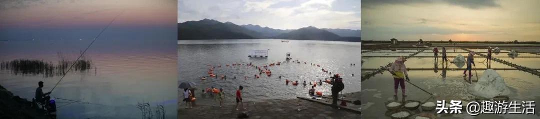 广东有几个湿地公园（广东的湿地公园盘点）(2)