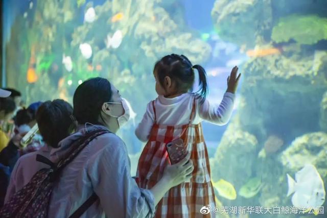 合肥海洋世界旅游攻略（暑假带娃游安徽海洋世界）(4)