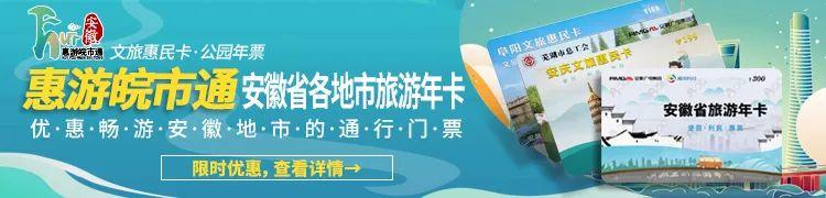 合肥海洋世界旅游攻略（暑假带娃游安徽海洋世界）(1)