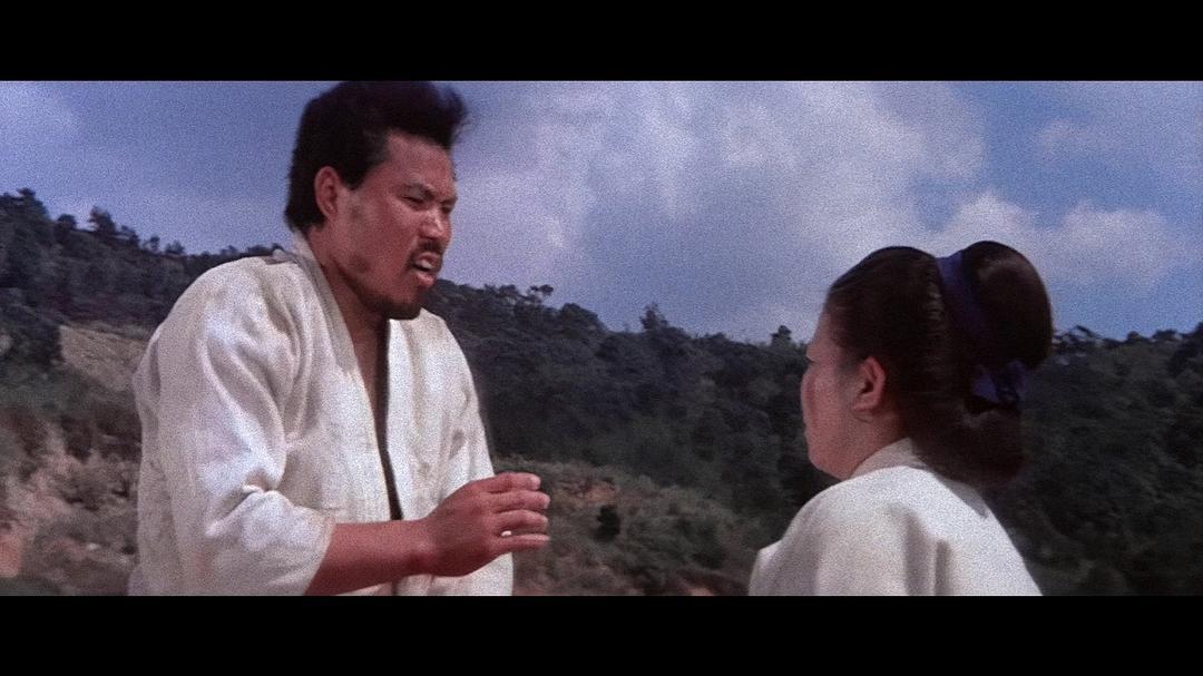 山茅个人资料写真作品