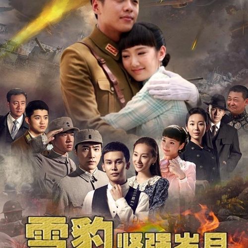 雪豹坚强岁月剧情介绍（讲的是什么故事）