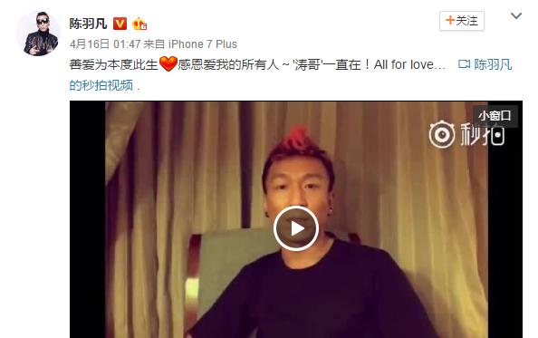 白百何与陈羽凡为什么离婚（陈羽凡白百何出轨）(15)