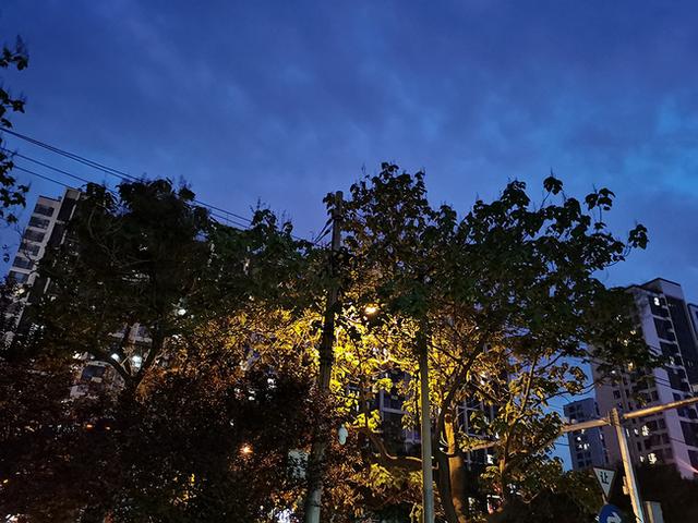 荣耀x10多少元（1899元真香的荣耀X10）(12)
