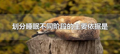 ​划分睡眠不同阶段的主要依据是（人的睡眠分为几个阶段）