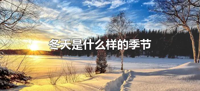 冬天是什么样的季节