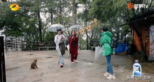 杨幂87斤减肥法（杨幂减肥不吃晚饭甜水果）(20)