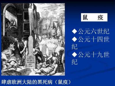 ​鼠间鼠疫和人间鼠疫区别（为什么人们谈鼠）