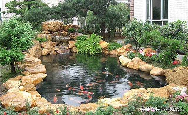 养鱼的10种方法（养鱼这些小知识技巧）(9)