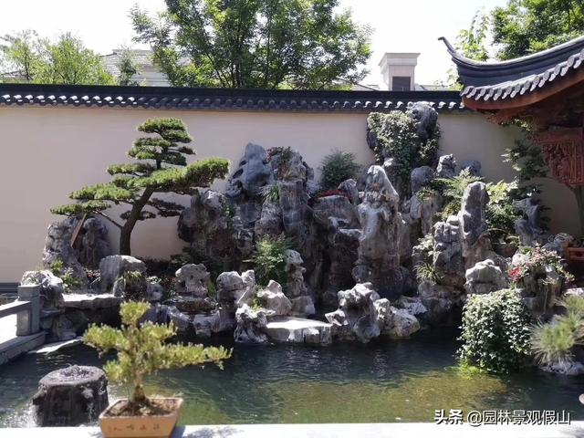 养鱼的10种方法（养鱼这些小知识技巧）(6)