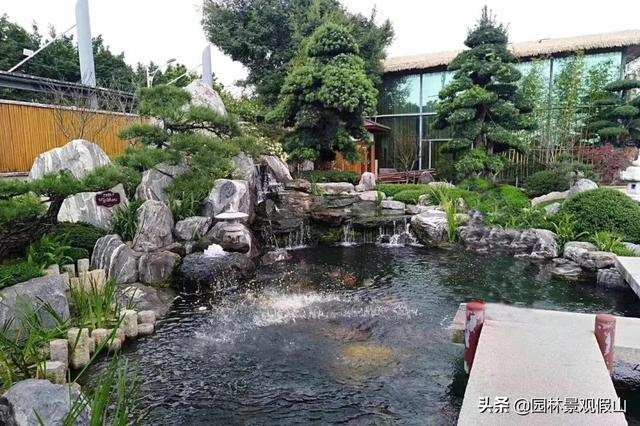 养鱼的10种方法（养鱼这些小知识技巧）(3)