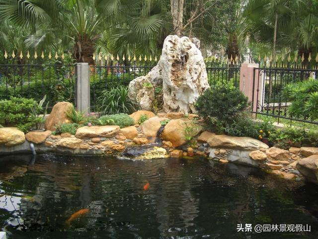 养鱼的10种方法（养鱼这些小知识技巧）(8)