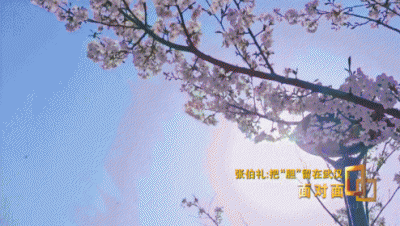 ​如何正确理解动态清零防控措施（快准严）