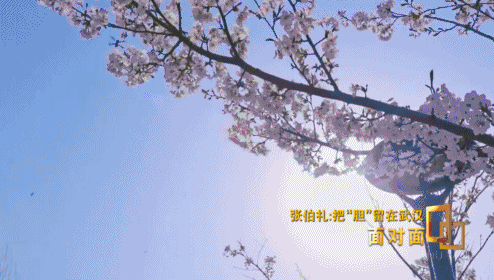 如何正确理解动态清零防控措施（快准严）