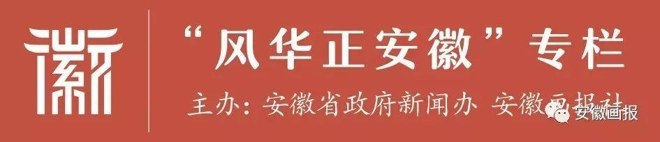 安徽省庐江在线网（风华正安徽奔跑中的庐江）(2)