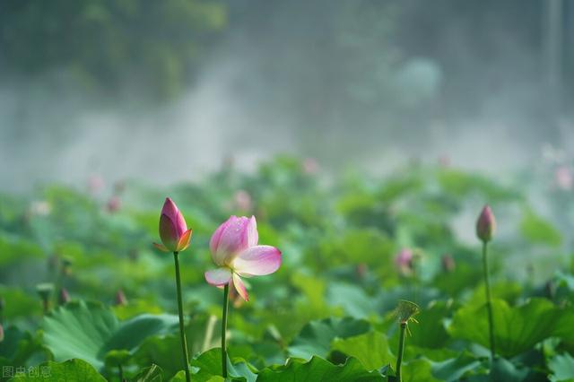 黑龙江鸡西旅游景点大全介绍（鸡西九个美得不像话的景色）(7)