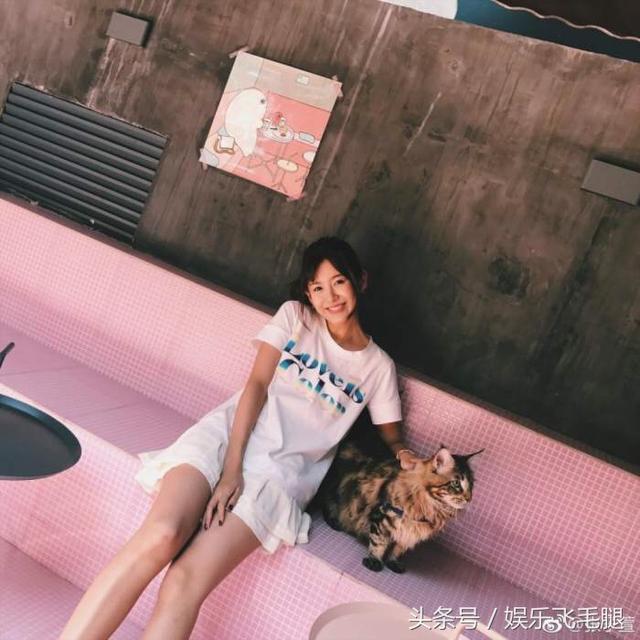 陈赫为什么会和张子萱结婚（终于知道陈赫为何抛弃前妻）(4)