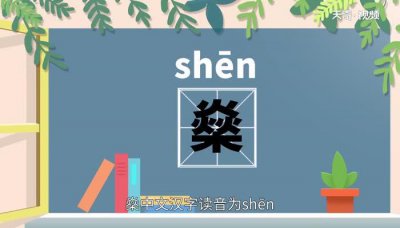 ​燊的拼音（燊的汉语拼音是什么）