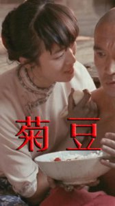​菊豆讲的是什么故事（剧情内容是什么）