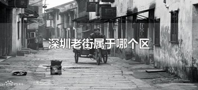 ​深圳老街属于哪个区（深圳老街属于什么区）