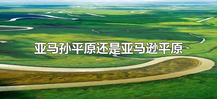 亚马孙平原还是亚马逊平原