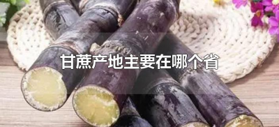 ​甘蔗产地主要在哪个省（甘蔗的产地主要在哪里）