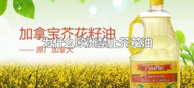 ​为什么欧洲禁止芥花油（欧洲禁止芥花籽油原因）