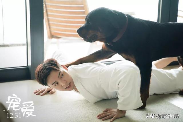 冯小刚新片什么时候上映（12月下旬院线新片前瞻）(14)