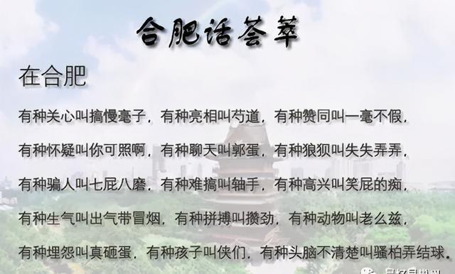 巢湖方言土话（安徽巢湖方言杂谈）