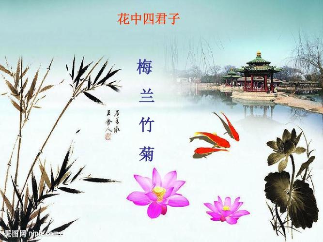 花中君子的下一句是什么（关于花中君子的下一句是什么）