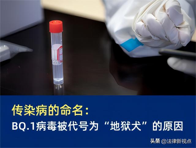 感染地狱犬毒株有哪些症状（BQ.1病毒被代号为）(1)
