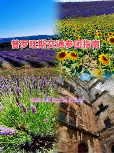 ​法国巴黎普罗旺斯薰衣草花海（法国普罗旺斯薰衣草交通参团指南）