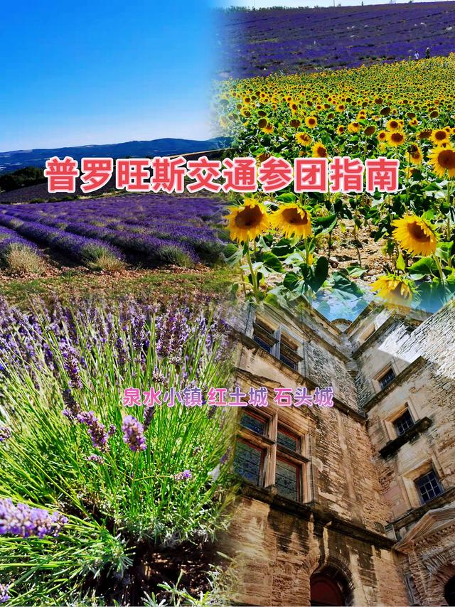 法国巴黎普罗旺斯薰衣草花海（法国普罗旺斯薰衣草交通参团指南）(1)
