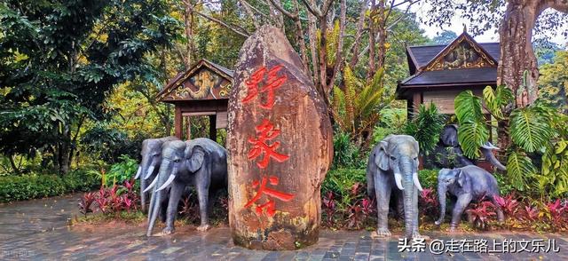 云南七天旅游攻略最佳线路（云南旅游四条经典线路）(9)