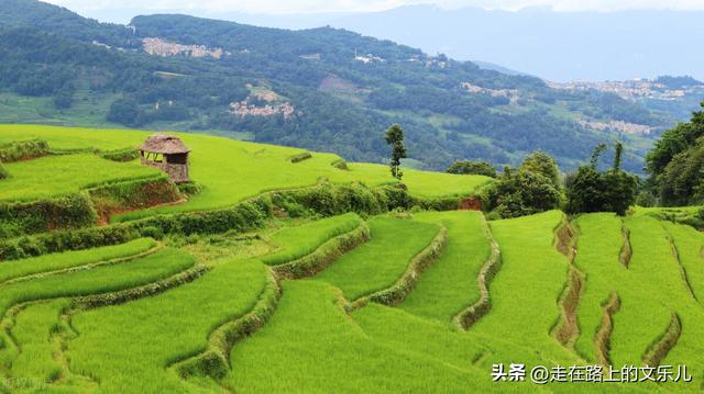 云南七天旅游攻略最佳线路（云南旅游四条经典线路）(11)