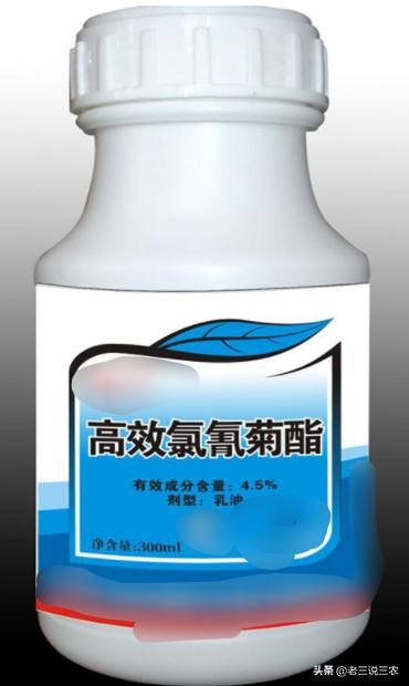 家用杀虫剂杀蟑螂（自制家庭杀虫剂）(2)