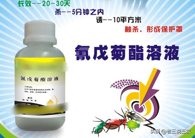 家用杀虫剂杀蟑螂（自制家庭杀虫剂）(3)