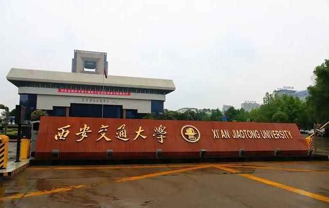 高华健哪一年从美国回归（神童高华健放弃国籍加入美国）(4)