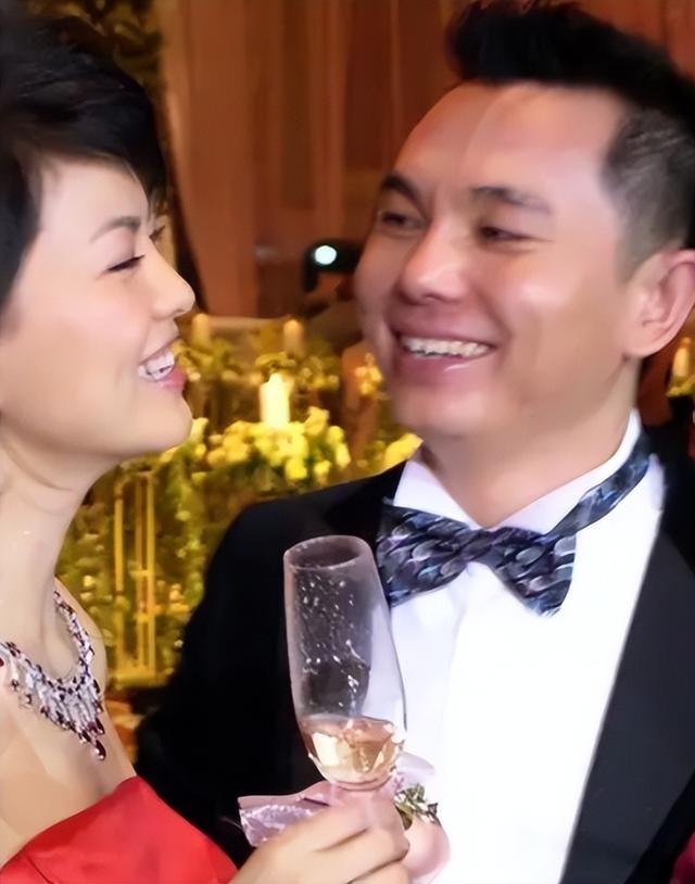李湘王岳伦离婚细节（再看李湘王岳伦的婚姻）(17)