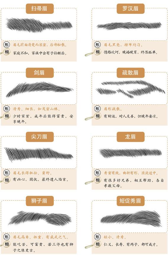 面相眉毛有哪几种（有关眉毛的相学面相）(1)