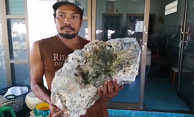 罕见抹香鲸搁浅英国海滩不幸死亡（搁浅象山的抹香鲸或已死亡）(21)