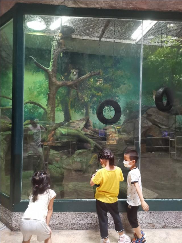 福州罗源湾海洋世界攻略（福建遛娃之福州罗源湾海洋世界）(24)