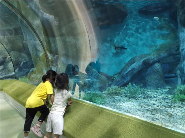 福州罗源湾海洋世界攻略（福建遛娃之福州罗源湾海洋世界）(16)
