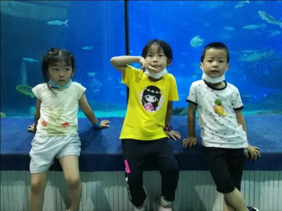 ​福州罗源湾海洋世界攻略（福建遛娃之福州罗源湾海洋世界）