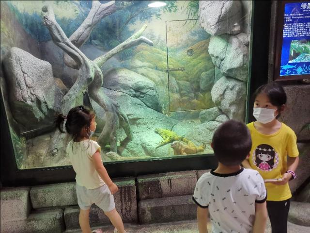 福州罗源湾海洋世界攻略（福建遛娃之福州罗源湾海洋世界）(22)