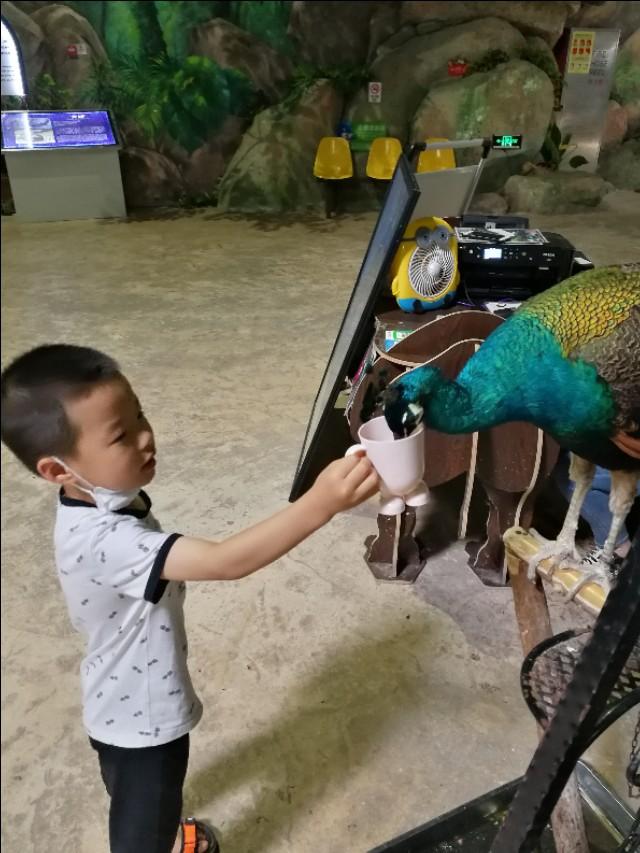福州罗源湾海洋世界攻略（福建遛娃之福州罗源湾海洋世界）(26)