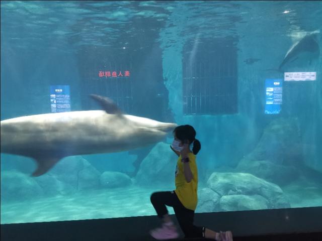福州罗源湾海洋世界攻略（福建遛娃之福州罗源湾海洋世界）(11)