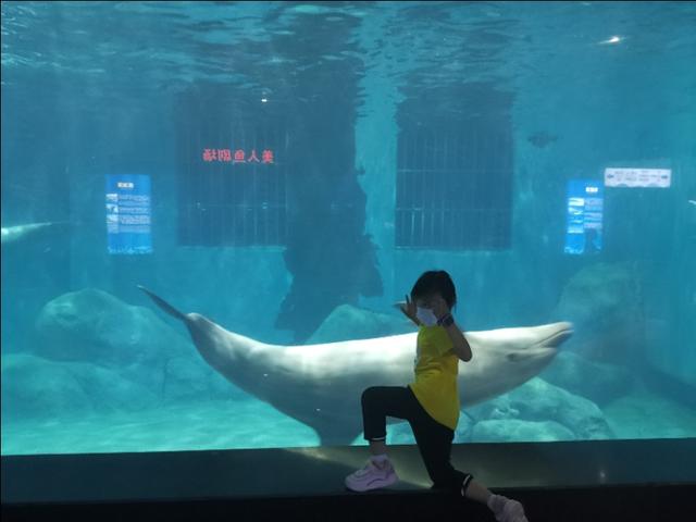 福州罗源湾海洋世界攻略（福建遛娃之福州罗源湾海洋世界）(3)