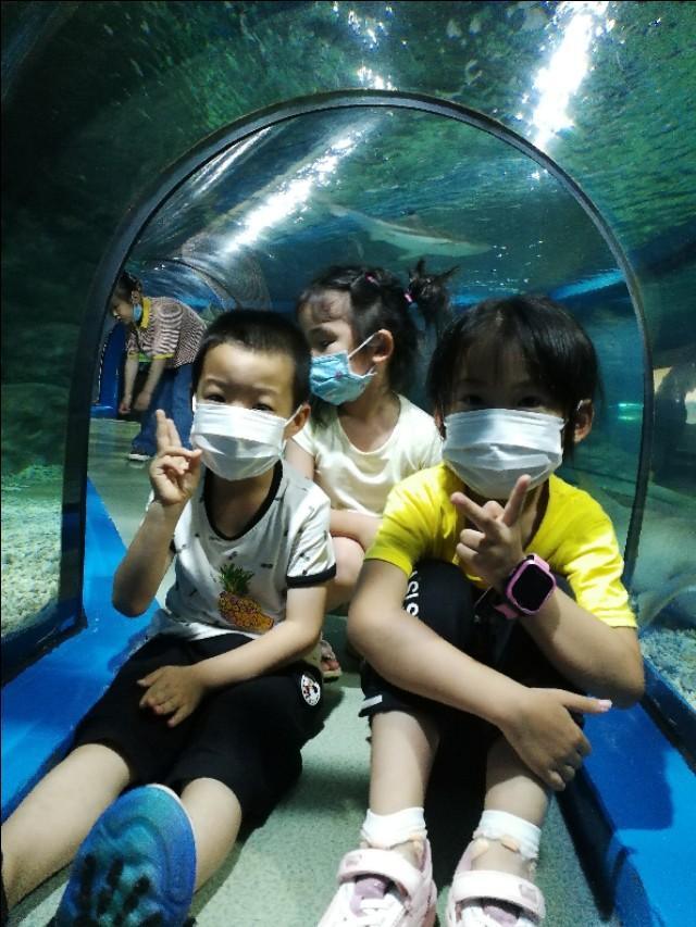 福州罗源湾海洋世界攻略（福建遛娃之福州罗源湾海洋世界）(5)