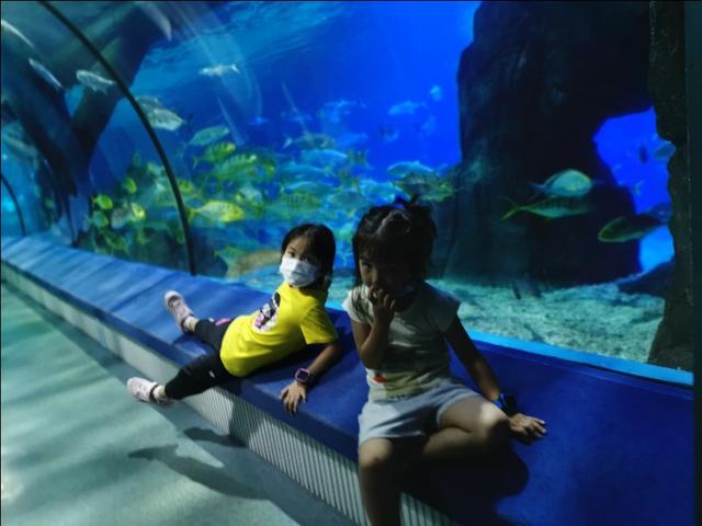 福州罗源湾海洋世界攻略（福建遛娃之福州罗源湾海洋世界）(6)