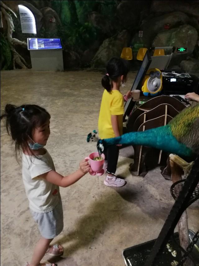 福州罗源湾海洋世界攻略（福建遛娃之福州罗源湾海洋世界）(25)